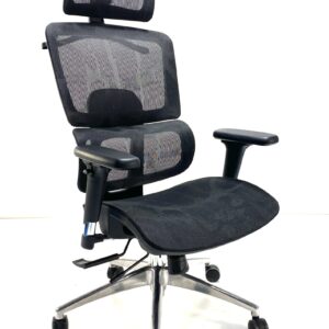 D200 Comfort Spine Chair