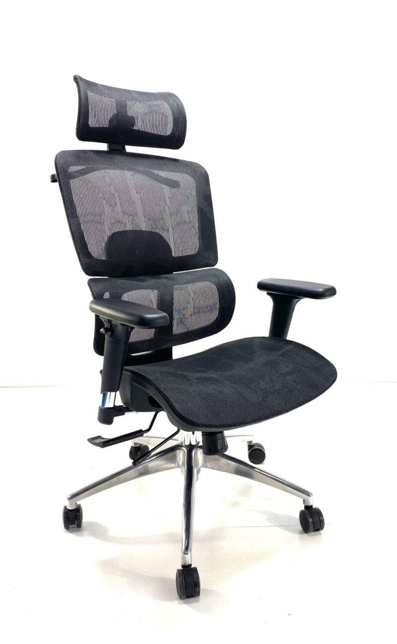 D200 Comfort Spine Chair - Image 2