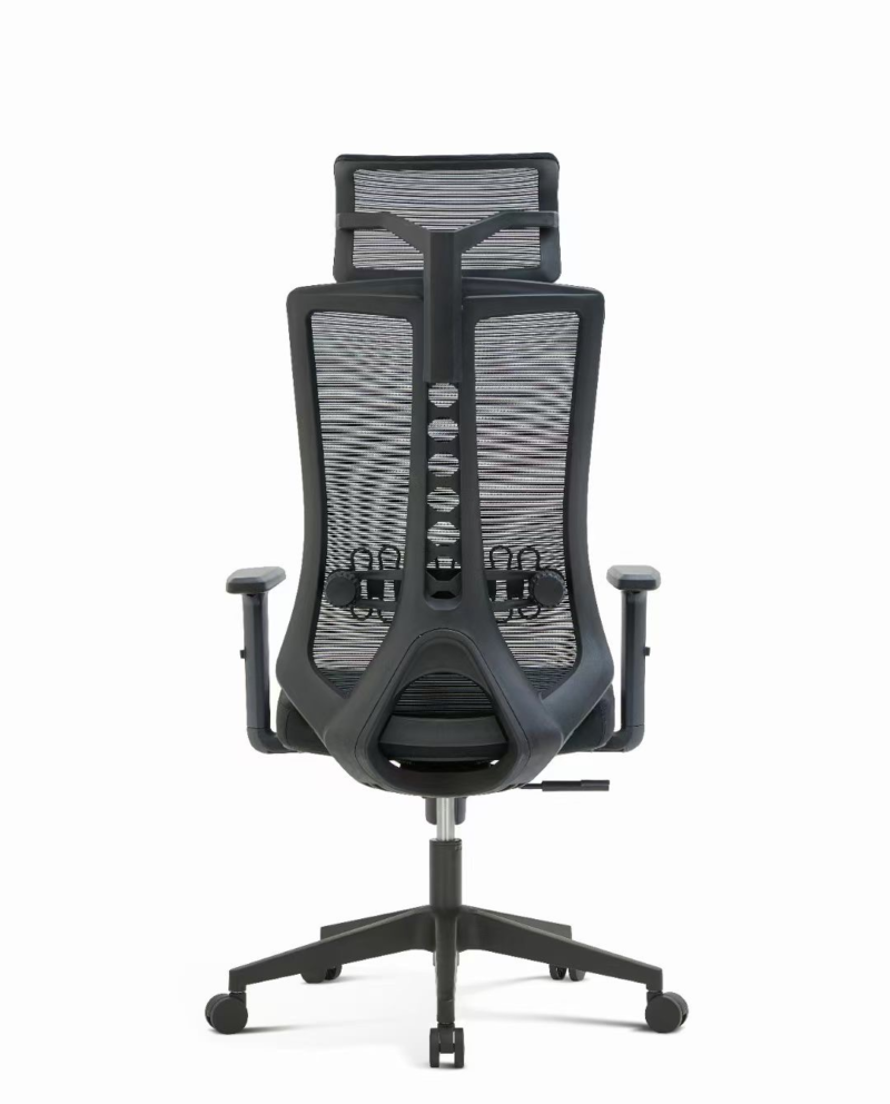 D222 Spine Care Chair - Image 4