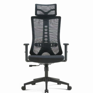 D222 Spine Care Chair