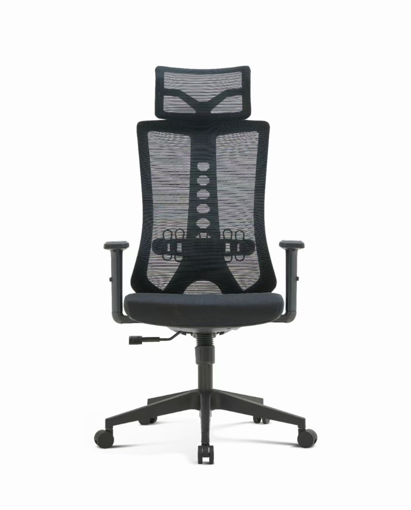 D222 Spine Care Chair