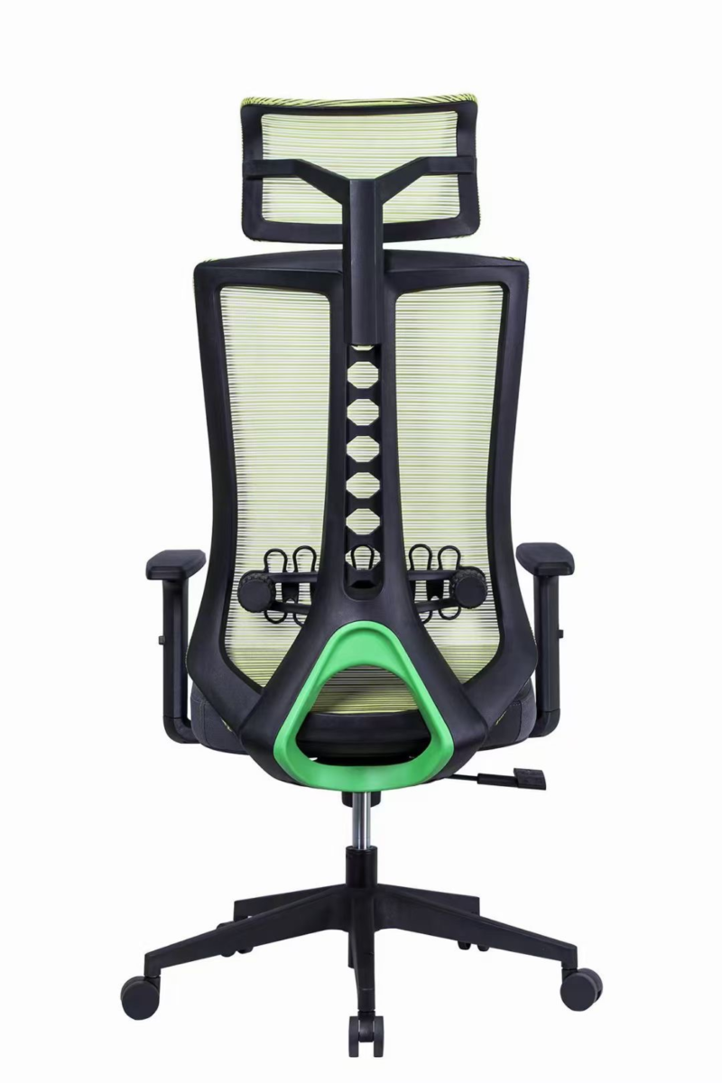 D222 Spine Care Chair - Image 2